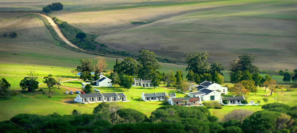 stanford valley guest farm