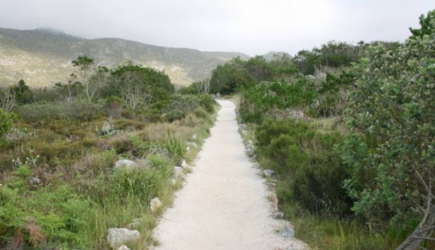 Silvermine- Top 5 Scenic Mountain Bike Routes in the Western Cape 